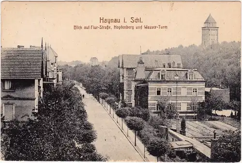 Haynau Chojnów Flurstraße und Wasserturm 1929 