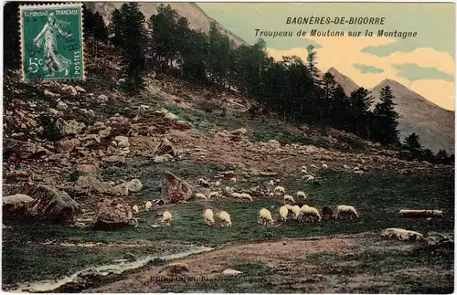 Bagnères-de-Bigorre Troupeau de Moutons sur la Montagne/Schaafherde Berg 1908