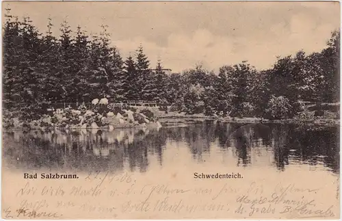 Bad Salzbrunn Szczawno-Zdrój Partie am Schwedenteich 1906