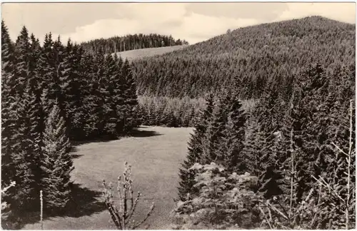 Foto Ansichtskarte Neustadt am Rennsteig Reischeltal mit Haube am Rennsteig 1968