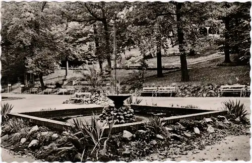 Bad Suderode Harz Springbrunnen im Kurpark Fotokarte b Halberstadt 1962
