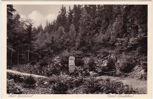 Bad Oppelsdorf Opolno Zdrój Partie am Oppel-Denkmal 