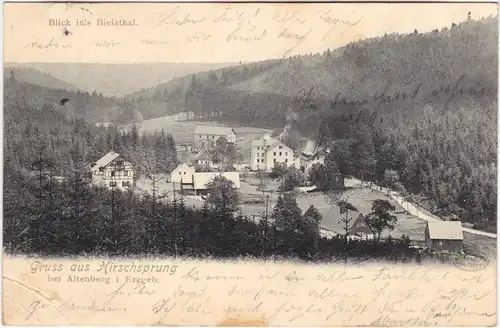 Hirschsprung-Altenberg (Erzgebirge) Blick ins Bielathal - Strasse 1903