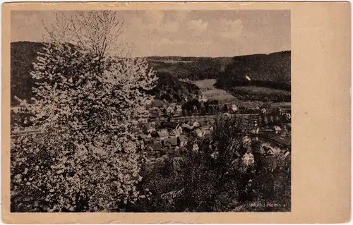 Bad Liebenzell Panorama 1930