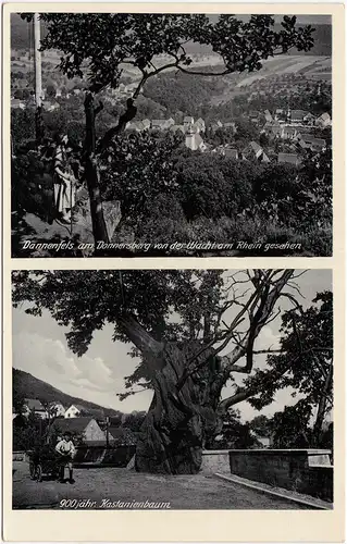 Dannenfels Panorama von der Wacht und 900jähriger Kastanienbaum 1930