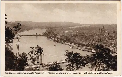 Budapest Kilátás a Gellérthegyről Ansichtskarte Magyar 1929