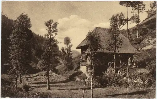 Furtwangen (Schwarzwald) Schwarzwaldhaus im Hexenloch 1920