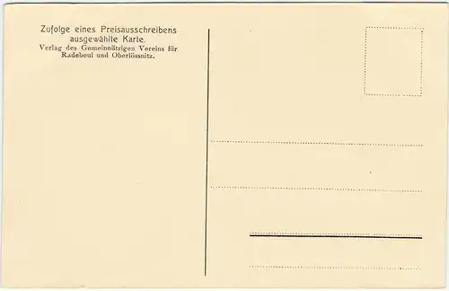 Radebeul Birkenallee im Waldpark 1928