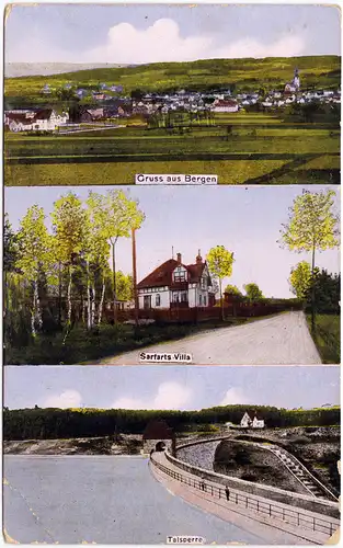 Bergen (Vogtland) 3 Bild: Panorama, Villa, Talsperre 1913