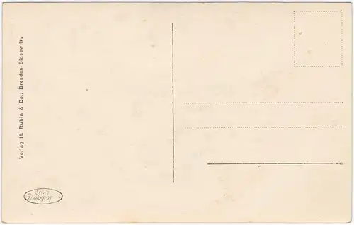 Aue (Erzgebirge) Panorama vom Flossgraben aus 1930