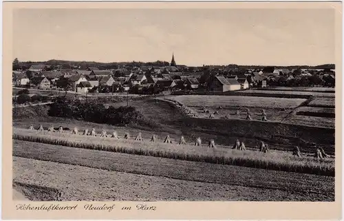 Neudorf (Harz) Partie an der Stadt 1934