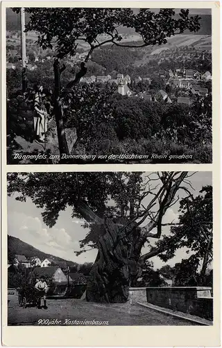 Dannenfels 2 Bild: 900 jähriger Kastanienbaum und Stadt 1932
