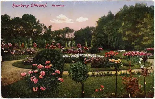 Ohlsdorf-Hamburg Partie im Rosarium 1914