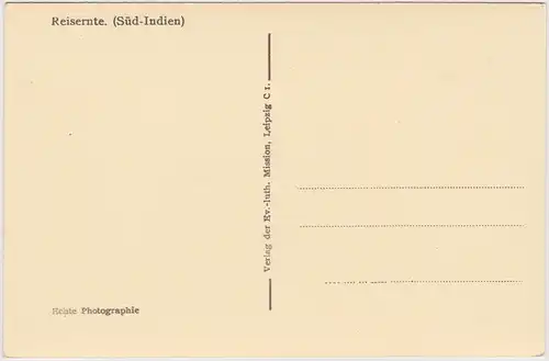  Reisernte in Südindien 1930