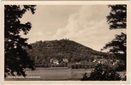 Ansichtskarte Biesnitz Görlitz Zgorzelec Landeskrone 1955