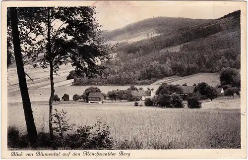 Wilthen Oberlausitz Blick von Blumental auf den Mönchswalder Berg 1928