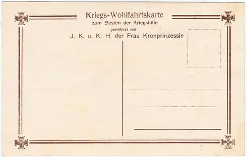   Kriegshilfe - Die Söhne unseres Kronprinzenpaares in Feldgrau Militaria c1916