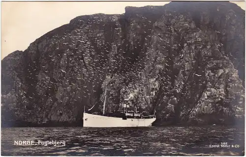 Norge - Fuglebjerg, Dampfer Norge Norway Foto Postcard Sogn og Fjordane1928