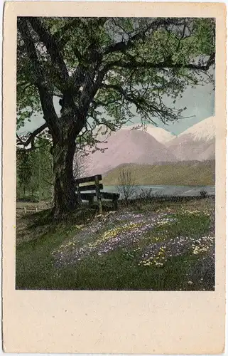 Botanik: Blumenwiese mit Baum und Bank Blick zu den Bergen Ansichtskarte 1944