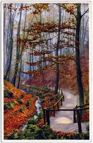 Ansichtskarte Künstlerkarte: Waldweg in Herbststimmung 1939