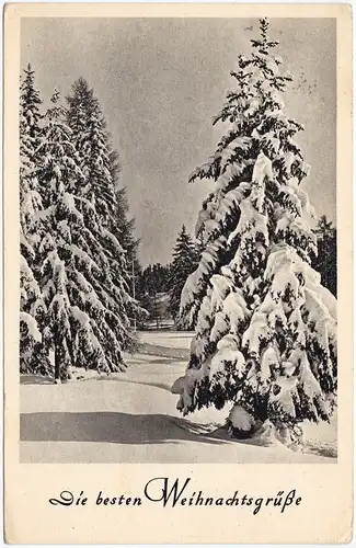  Die besten Weihnachtsgrüße - Schneebedeckter Nadelwald 1954