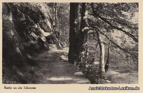 Foto Ansichtskarte Schwarzburg Partie an der Schwarza 1955