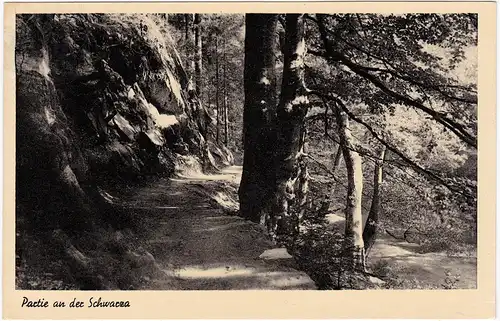 Foto Ansichtskarte Schwarzburg Partie an der Schwarza 1955