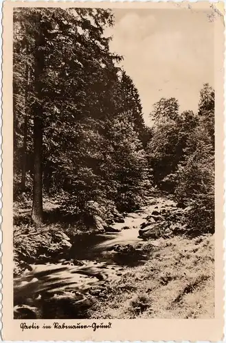 Foto Ansichtskarte Rabenau Partie am Rabenauergrund 1942