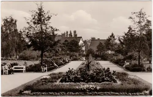 Bad Düben im Kurpark 1964
