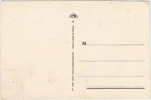 Le Puy-en-Velay Vue prise à travers les Pins 1924