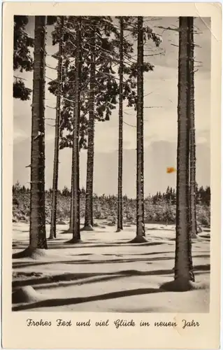  Frohes Fest und viel Glück im neuen Jahr - Schneebedeckter Wald 1956