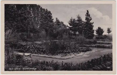 Bad Lausick Goldfischteich im Park 1953