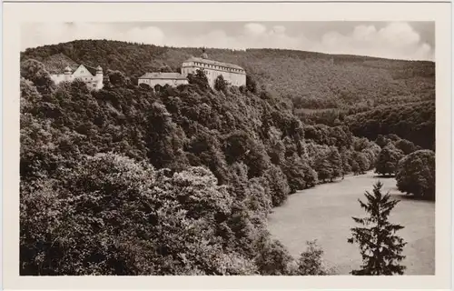 Schwarzburg Schloss mit Hirschwiese Foto Ansichtskarte 1955