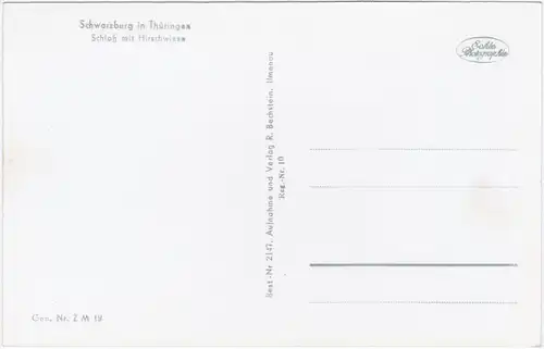 Schwarzburg Schloss mit Hirschwiese Foto Ansichtskarte 1955