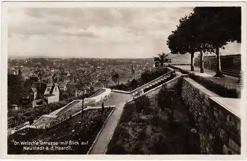 Neustadt (Weinstraße) Welsche Terrasse - Blick auf die Stadt 1933