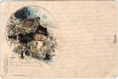  Schwarzwaldhaus - Litho Ak 1896