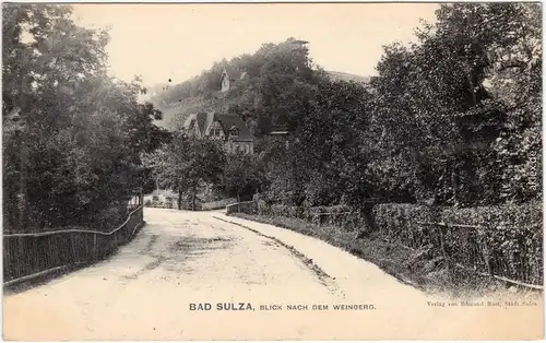 Bad Sulza Straßenpartie am Weinberg 1911