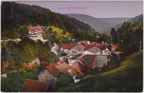 Bad Rippoldsau-Bad Rippoldsau-Schapbach  Dorfpartie 1918