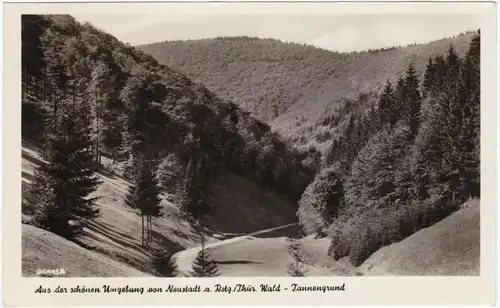 Ansichtskarte Neustadt Aus der schönen Umgebung: Tannengrund 1962