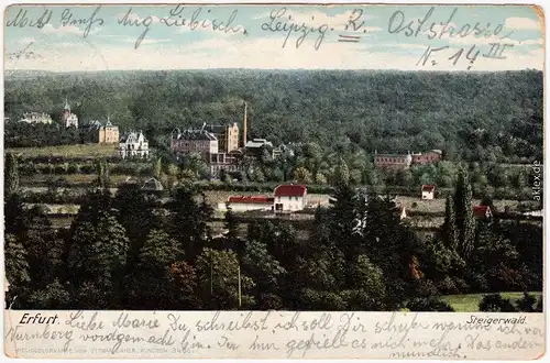Löbervorstadt-Erfurt Steigerwald 1907