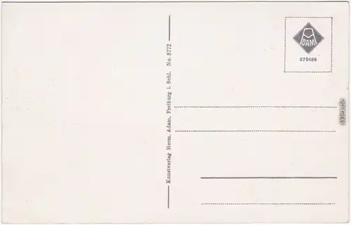 Bad Charlottenbrunn Jedlina-Zdrój Panorama 1934