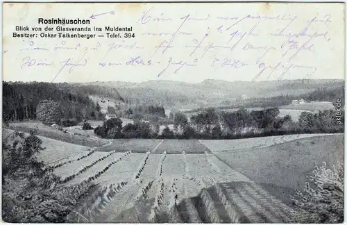 Hetzdorf-Halsbrücke Rosinhäuschen - Blick in das Tal 1923