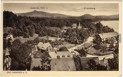 Hammer am See Hamr na Jezeře Straßenpartie - Blick über die Stadt 1922