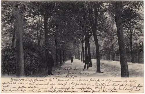 Bautzen Budyšin Promenade am evangelischen Seminar 1906