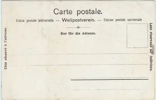 Postcard CPA Montreux (Muchtern)  Waadt Blick über den See 1909