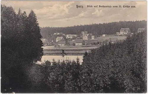 Hahnenklee-Bockswiese Blick auf Bockswiese vom 11. Teiche aus 1918