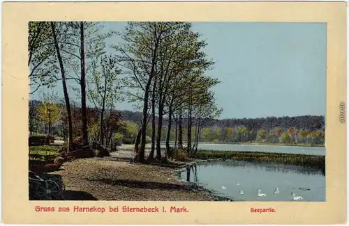 Harnekop Prötzel Partie am See - Kutsche b Sternebeck Strausberg  1913