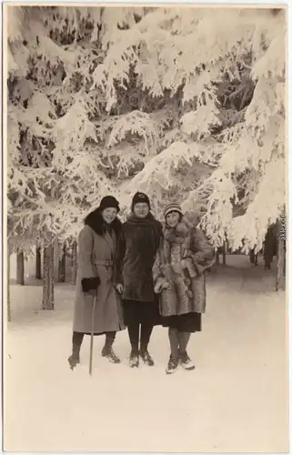 Geising Altenberg (Erzgebirge) Winterpracht Privatfotokarte 1931