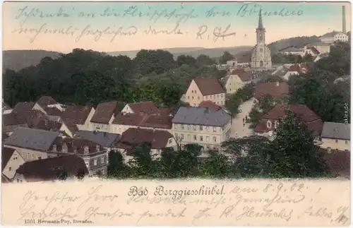 Ansichtskarte Bad Gottleuba-Berggießhübel Straßenpartie und Kirche 1901