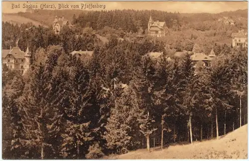Bad Sachsa Blick vom Pfaffenberg Ansichtskarte  1911